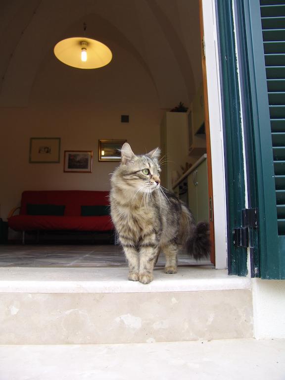 Leziedipiero Apartment Nardo Bagian luar foto